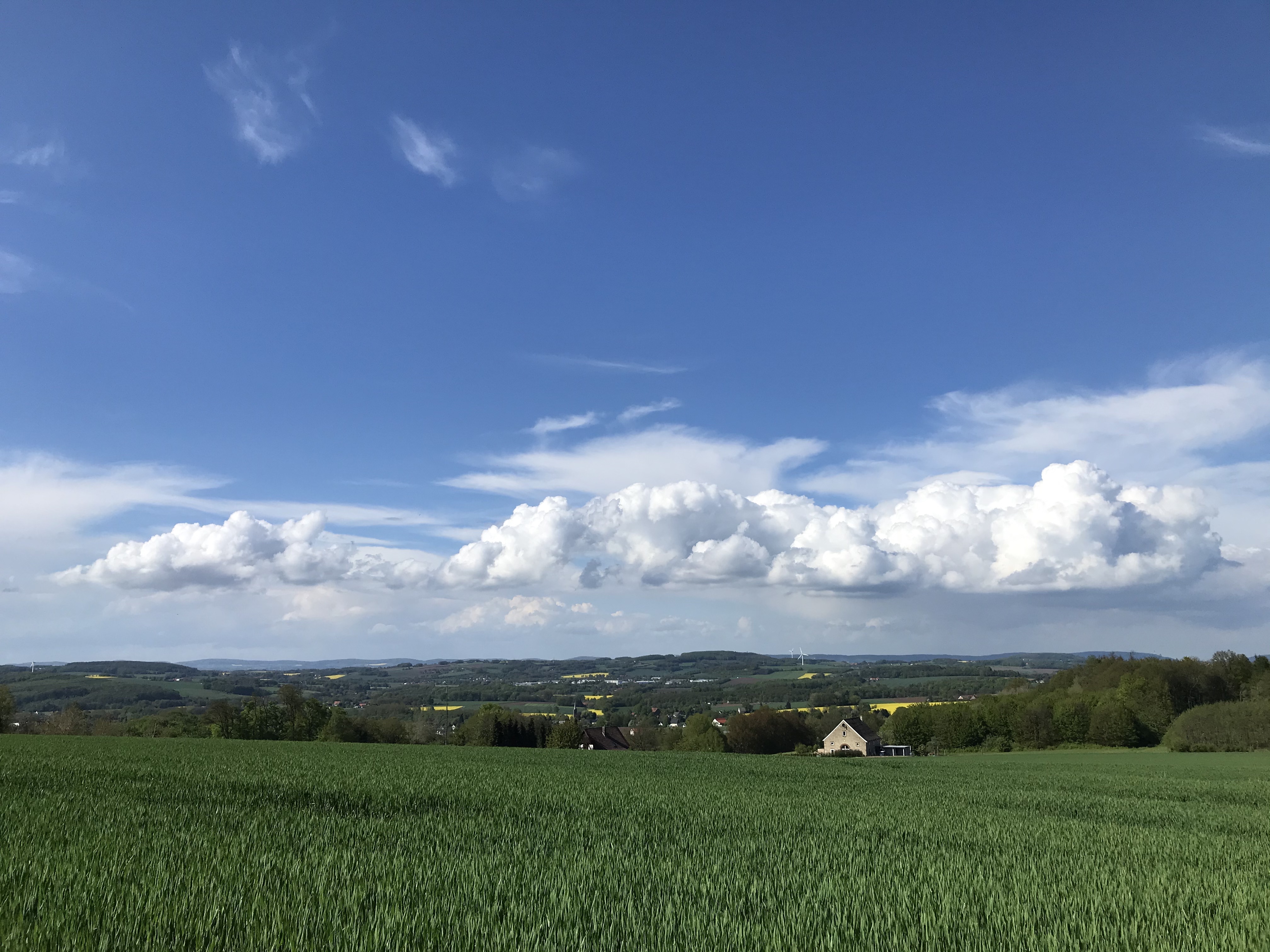 Photo: Lippelandschaft im Sommer. Blauer Himmel, grünes Feld, Häuser in der Ferne.